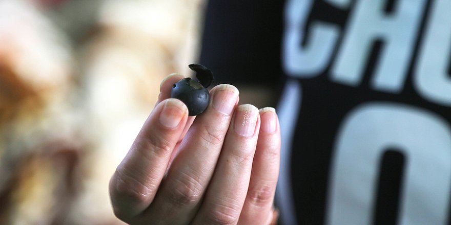 Filistin için İsrail kurşunlarına göğüs gerdi