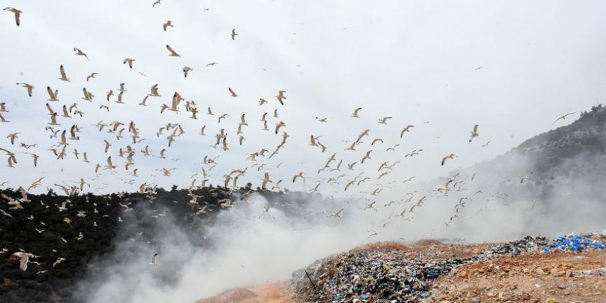 Dünya Bankası bile 'Bu Ne İsraf' dedi