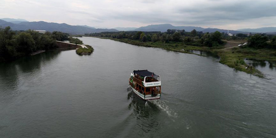 Yeşilırmak'ta 'İsrail sazanı' tehdidi