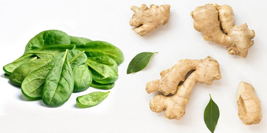 Çiftçiye ıspanak eğitimi veriliyor