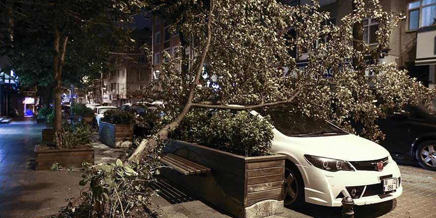 İstanbul'da şiddetli rüzgar ile ağaç devrildi