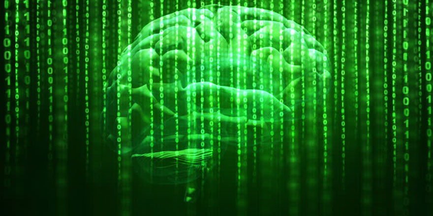 İnsan beyni okuma sırasında nasıl çalışıyor?