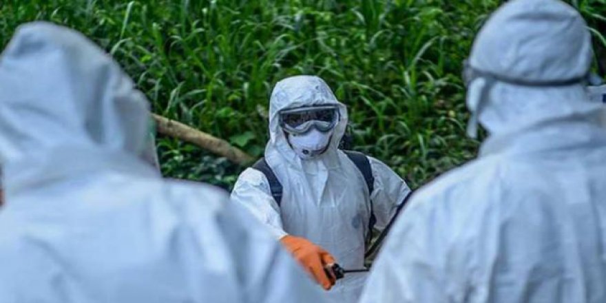 Dünya Sağlık Örgütü'nden Ebola salgını açıklaması