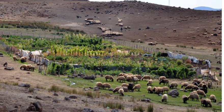 Terör nedeniyle 25 yıl önce terk ettiği köyünde şimdi sebze yetiştiriyor