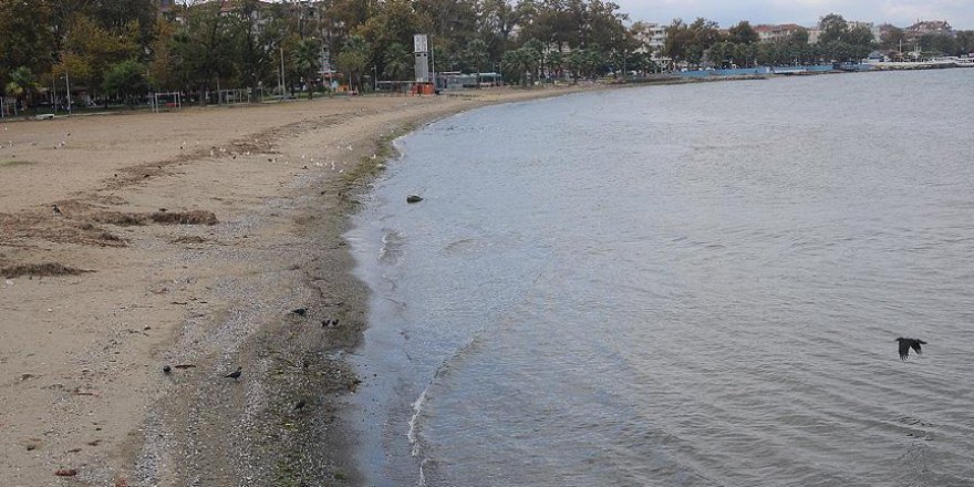 Yalova'da endişelendiren görüntü: Deniz çekildi