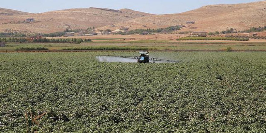 Gübrede indirim ve prim desteği Güneydoğu çiftçisinin yüzünü güldürdü