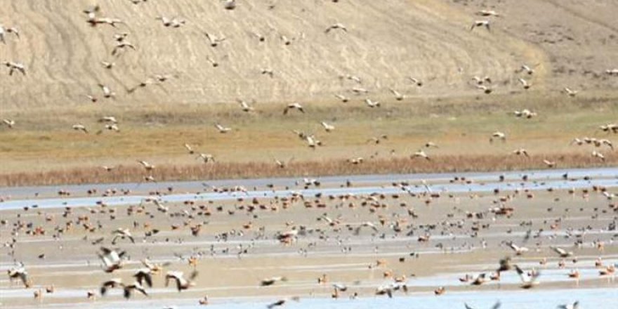 Küresel ısınmanın etkisi: Koca göl kurudu!