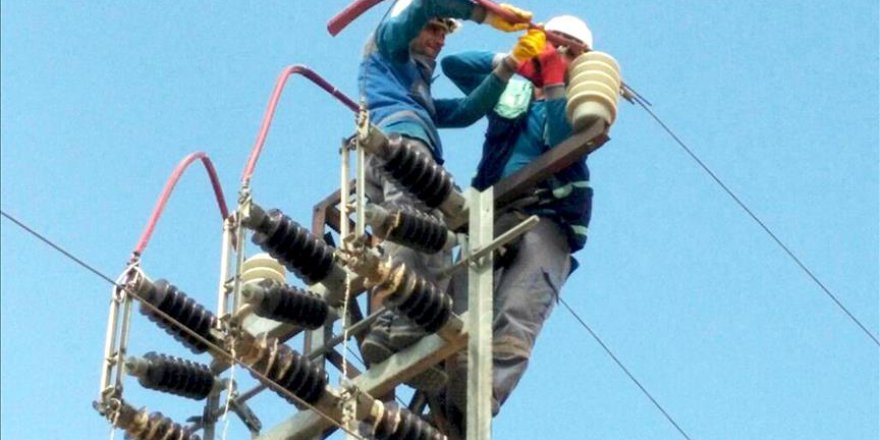 Enerji hatlarındaki kuş ölümlerinin önüne geçilecek