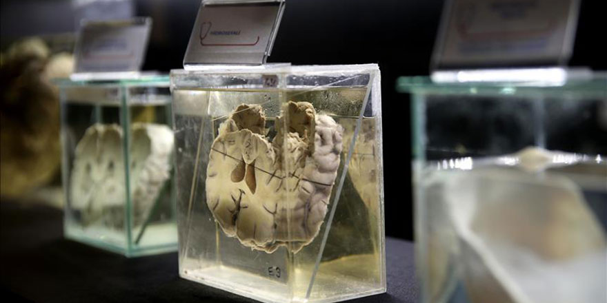 Darüşşifa'dan günümüze sağlık müzesi