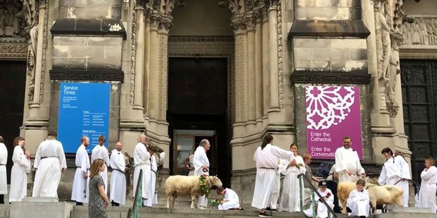 Katedralde koyun, keçi, deve, at, eşek, lama, inek, yılan, baykuş, kuğu ve köpekleri kutsadılar!