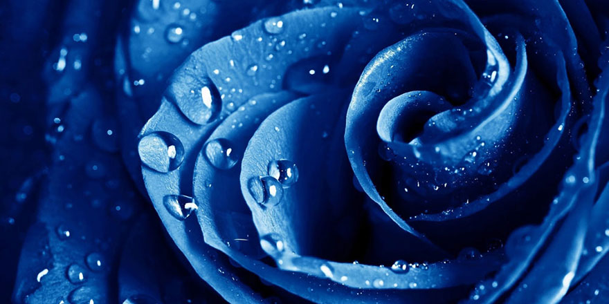 Ağlayan Peygamber (asm)