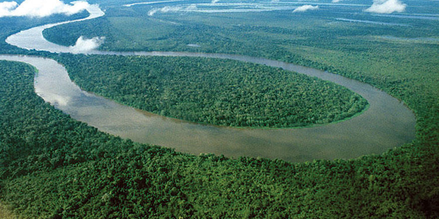 Ekonomik İşbirliği ve Kalkınma Teşkilatı'ndan Türkiye'ye orman övgüsü