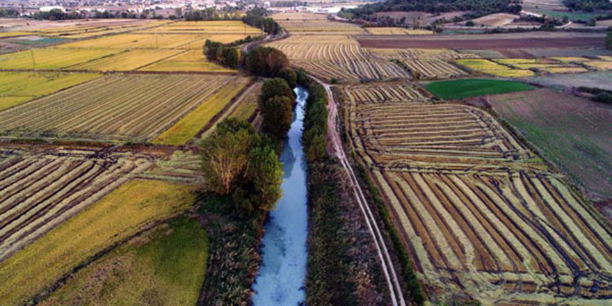 Önce kırmızı şimdi beyaz… Sivrisinek bile yaşamıyor!
