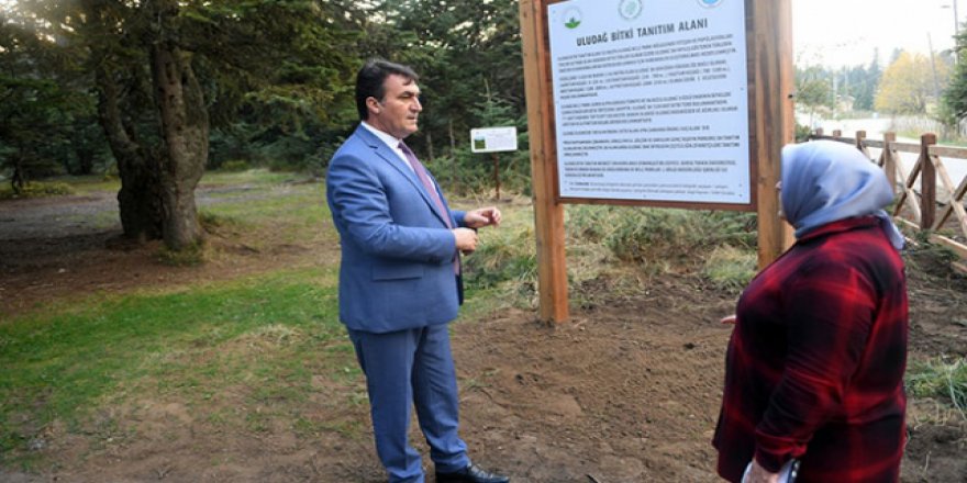Uludağ endemik parklarla dünyaya açılacak