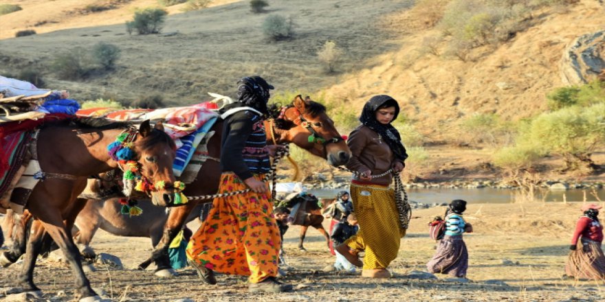 İlkbaharda giden göçerler geri dönüyor
