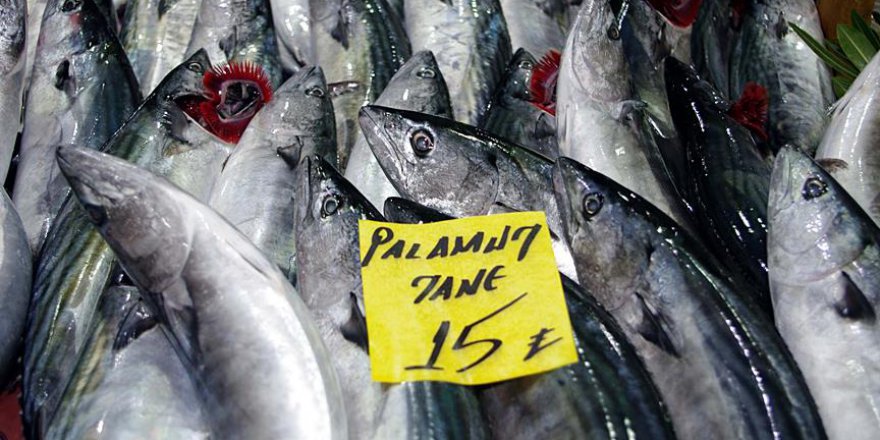 'Denizin kırmızı etli balığı'na rağbet