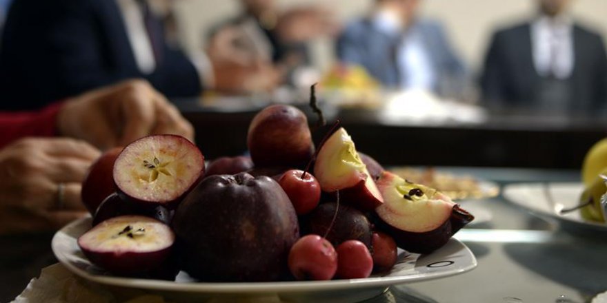 'İçi ve dışı kırmızı elma' tescil yolunda