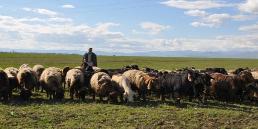 5 bin lira maaş var, çalışan yok