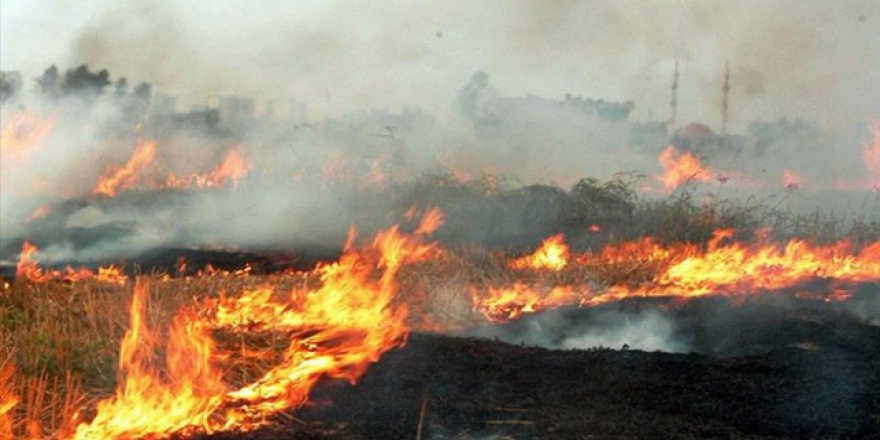 Anız yakma yasağını delen çiftçiye ceza