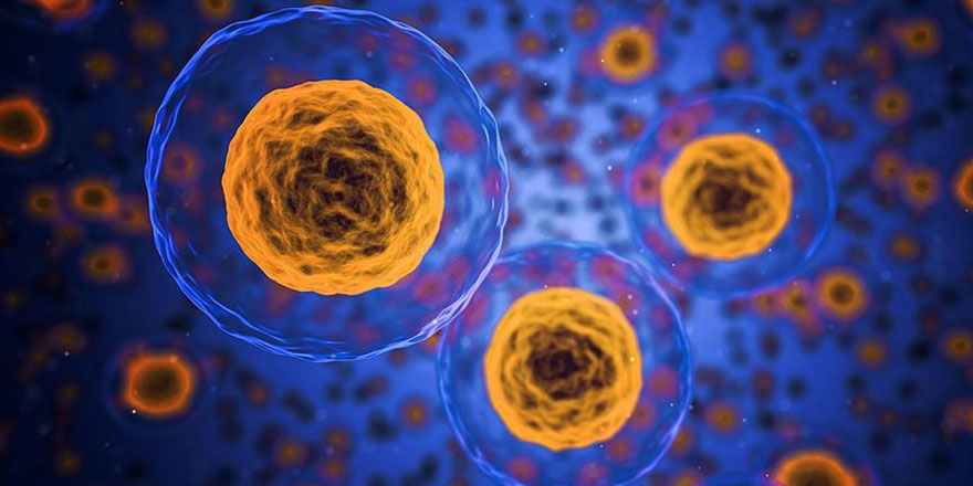 Araştırmacılar, tümör hücreleriyle normal hücreleri farklılaştırabilen araç geliştirdi