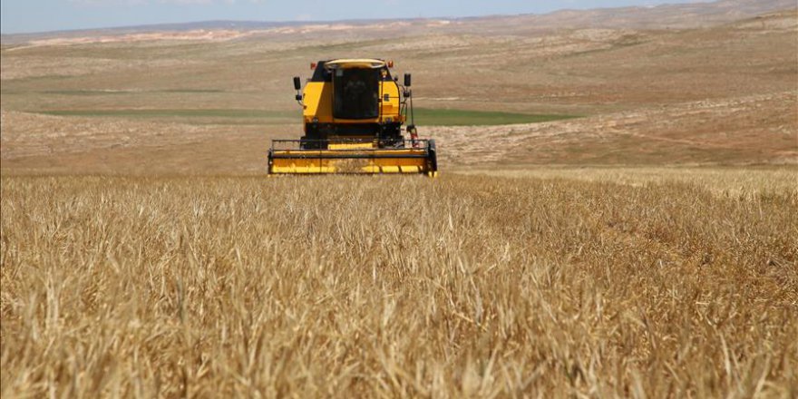 Bakan Pakdemirli'den kuru hububat desteği açıklaması