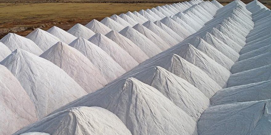 İhracata 'tuz' dopingi