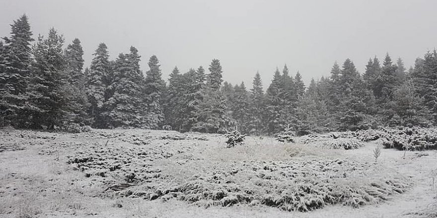 Ankara'ya yılın ilk karı dün yağdırıldı