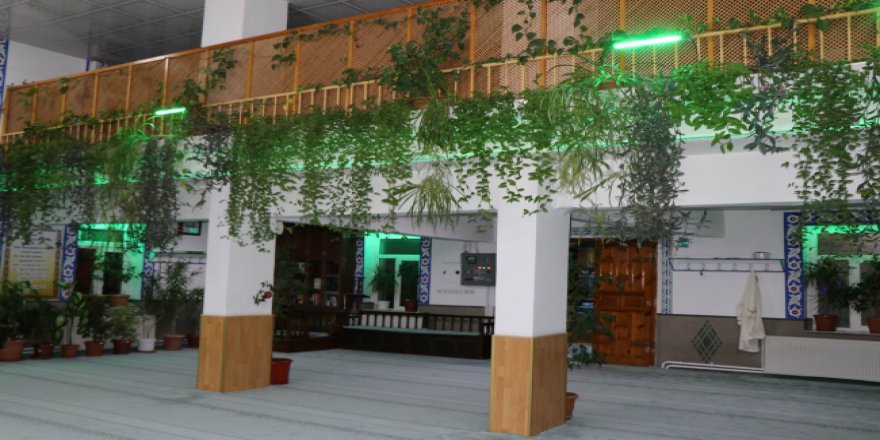 Nevşehirli imam camisini botanik bahçesi gibi yaptı