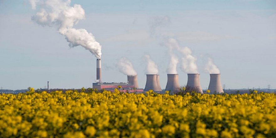 Dünya Sağlık Örgütü'ne göre artık zehir soluyoruz