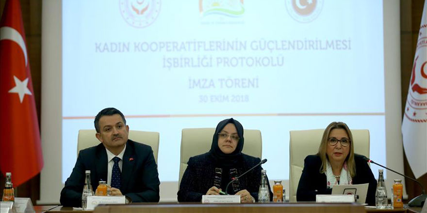 Hükümet, kadınları evden çıkarmak için her türlü teşviği gösteriyor