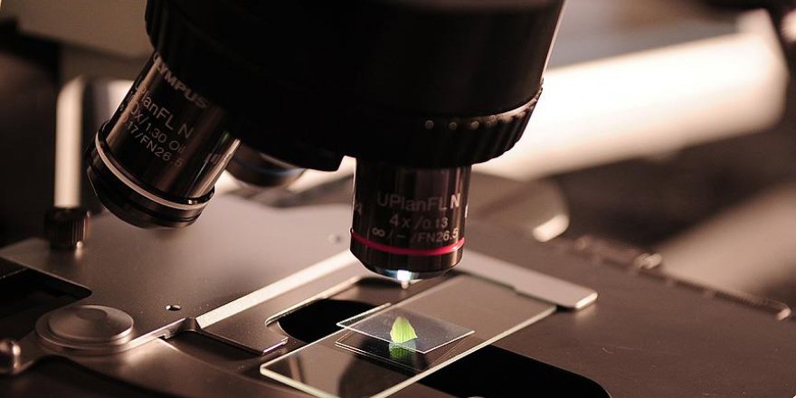 Atomlar, boşluktaki nesneleri çeken ışınla kapana kıstırıldı