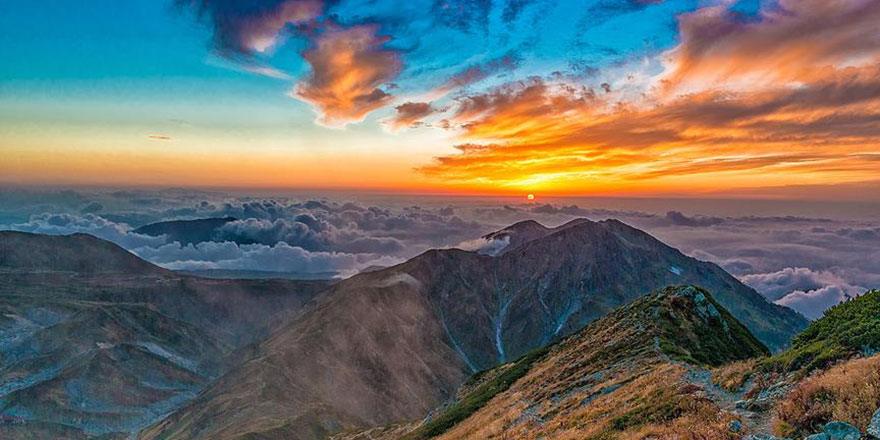 Amanoslar 70 bin fıstık çamı ile yeşillenecek