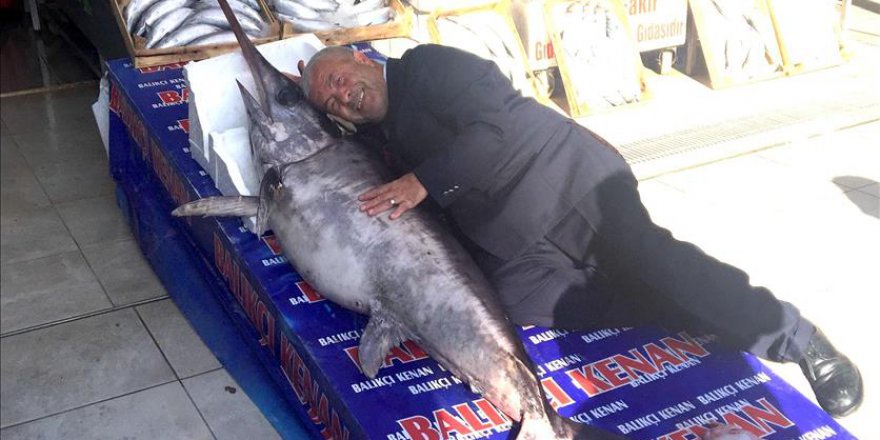 Balıkçıların ağına takılan 2 metrelik balık şaşkına çevirdi