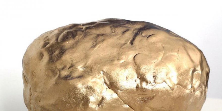 Almanya'nın en kötü gazetesi belli oldu