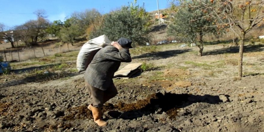 91 yaşında olmasına rağmen çiftçilikten vazgeçmedi