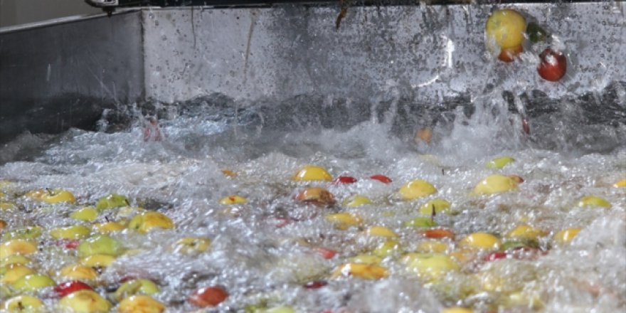 Fransız ve İspanyol bebeklerin gıdası Erzincan'dan geliyor