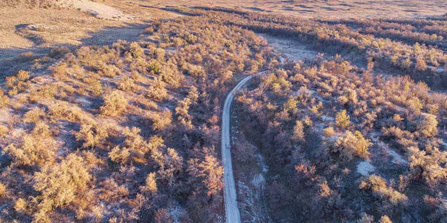 Konya'nın ilçesi çölden yeşile dönüyor