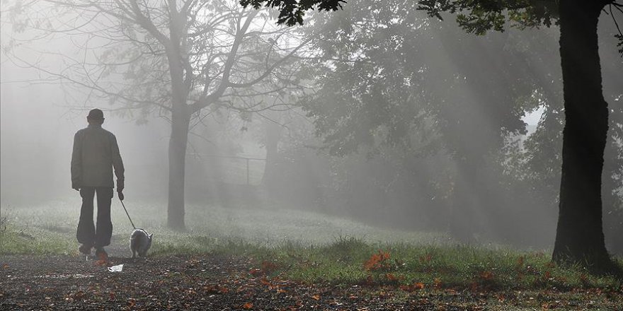 Çin sokaklarda köpek gezdirmeyi yasakladı