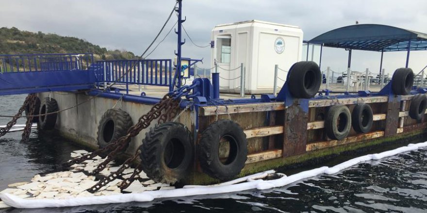 İzmit Körfezi'nde kirlilik