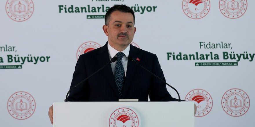 Pakdemirli: 10 milyon fidan sayısına yıl sonuna kadar ulaşılacak