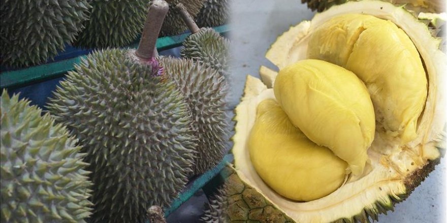 Meyve kokusu yüzünden uçak rötar yaptı