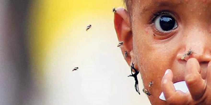 Dang Humması Tayland'da yayılıyor