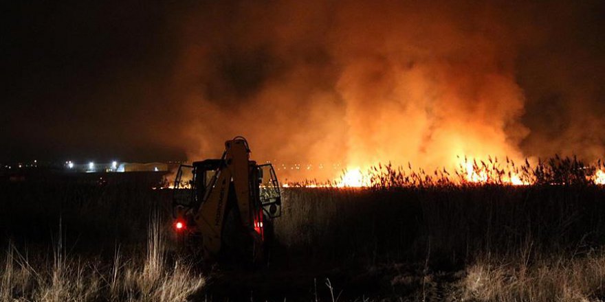 Ankara'nın Mogan Gölü'nde akşam saatlerinde yangın