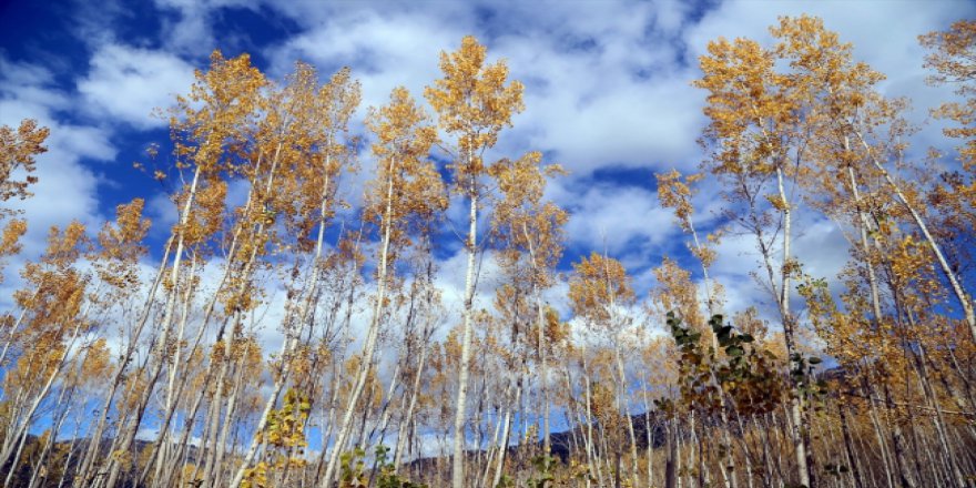 Kahramanmaraş Göksun'da sonbahar güzelliği