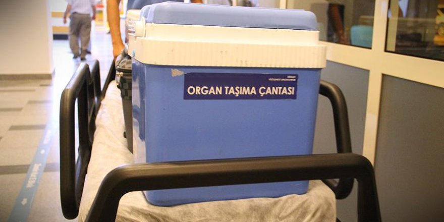 Organ naklinin umudu bile yaşama bağlıyor