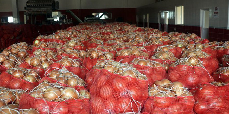 Pakdemirli: Soğan fırsatçılarını takip ediyor olacağız