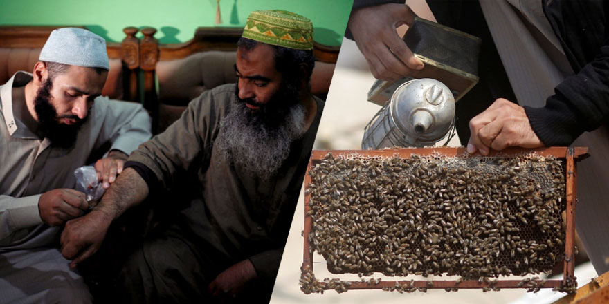 'Kur'an'da geçiyor' dedi arı ile tedaviye başladı