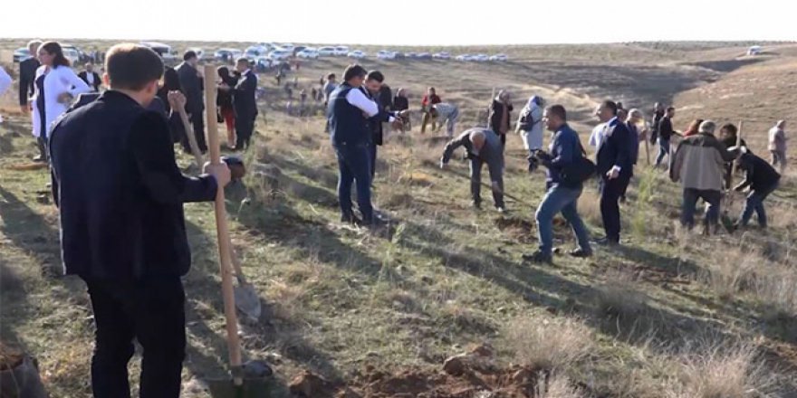 Batman'da anlamlı kampanya: Doğan her çocuk için dikilen bir fidan