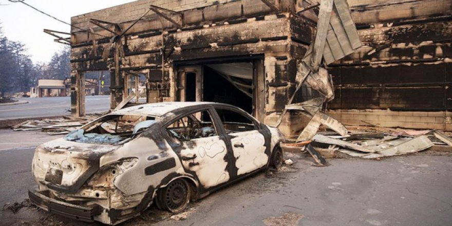 ABD'nin California eyaletindeki yangınlarda 50 kişi öldü