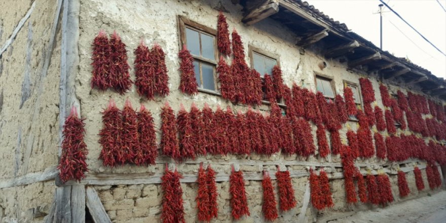 Bilecik'in balkonlarda kurutulan kırmızıbiberleri sofraları lezzetlendiriyor